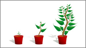 The State of Growth (Image Credit Pixabay/OpenClipart-Vectors