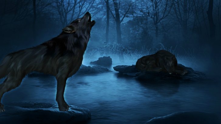 Bluewolf Go - (Image Credit Pixabay/ractapopulous)