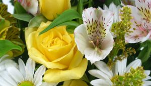 Flowers - Source Image: FreeImages.com/ Flitcroft 12/3/04