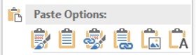 Paste Options