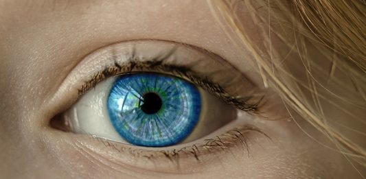 Eye EYE (c) 2016 Pixabay / cocoparisienne https://pixabay.com/en/eye-blue-eye-iris-pupil-face-1173863/