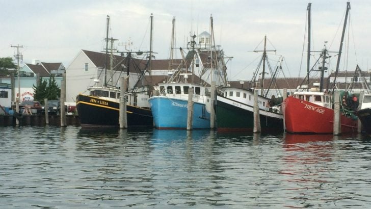 Fishing fleet Image credit Pixabay/enzol