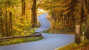 Road autumn curves Image credit PIxabay/Seq68