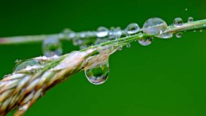 Raindrop blip, Image credit Pixabay/MiriamsPhotos