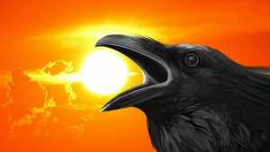 Sunset crow Image credit Fxabay/Alexas-Photos