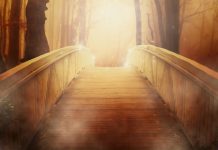 Autumna achieves golden results Bridge Image credit pixabay/Larisa-K