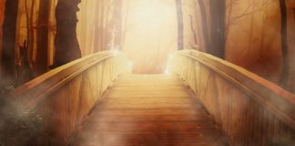 Autumna achieves golden results Bridge Image credit pixabay/Larisa-K