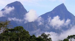 Cordillera Azul National Park