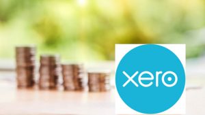 Money Xero, image credit pixabay/nattanan23