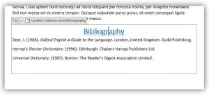 Bibliography edit fields