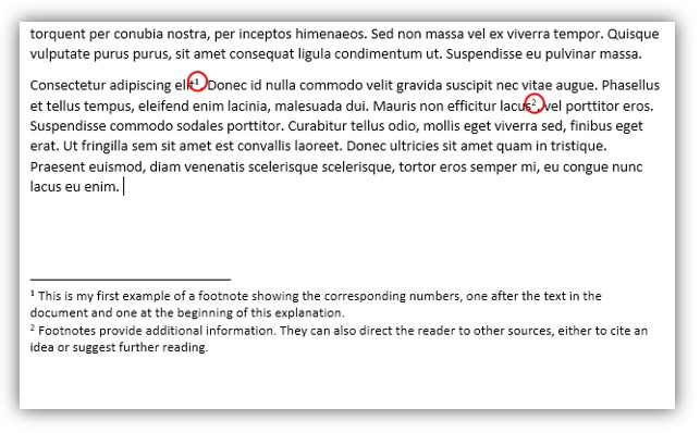 Footnote examples