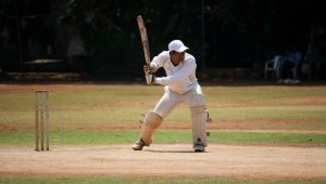 Cricket Image credit pixabay/PDPICS