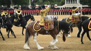 Ceremony British Army Image credit pixabay/Skeeze