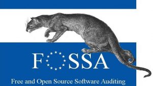 Free and Open Source Software Auditing