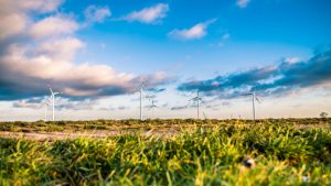 wind farm - image credit pixabay/Free-Photos