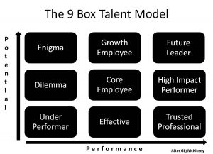 9-Talent performance model (McKInsey)