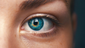 IrisGuard Eye https://www.prnewswire.com/news-releases/clinical-trials-planned-for-iris-recognition-based-patient-identification-software-300788139.html