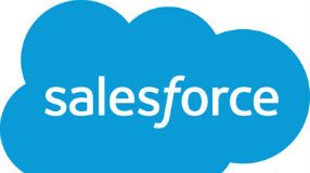 Salesforce Logo NiB