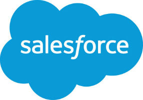 Salesforce Logo NiB