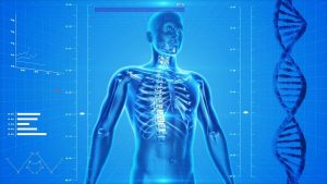 Health Cloud Salesforce Human Skeleton (Image credit/Pixabay/PublicDomainPictures)