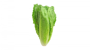 Romaine Lettuce https://pixabay.com/photos/lettuce-romaine-greens-vegetable-2468495/