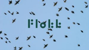 Animals - flock of birds Image credit pixabay/lars_nissen_PhotoArt and Flokk Logo (c) Flokk