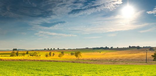 summer landscape: Image credit pixabay/jpeter