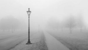 Way Fog Image by Free-Photos from Pixabay 
