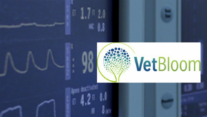 IBM and VetBloom form veterinary learning credential blockchain