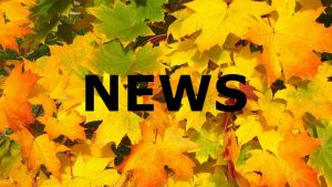 November News Leaves - Image credit PIxabay/Shirley810