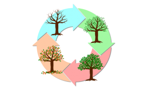 Learning about the changing services delivery landscape at Kimble Connect - Image by kmicican from Pixabay 