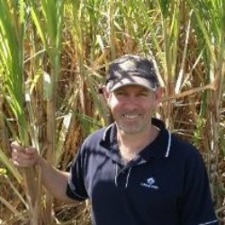 Matt Kealley, Senior Manager – Membership Engagement & Innovation, CANEGROWERS