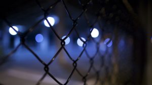 Fence security Image credit pixabay/Free-Photos