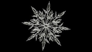 Snowflake Image by Gerd Altmann from Pixabay 