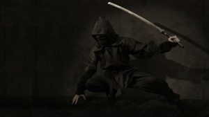 Ninja Image by MichaelWuensch from Pixabay