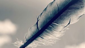 Quill Accounts Cloud Image by Mabel Amber from Pixabay