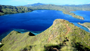 Indonesia - Indonesia https://pixabay.com/photos/komodo-view-park-national-island-1127251/