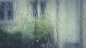 April Rain - Image by Markus Spiske from Pixabay