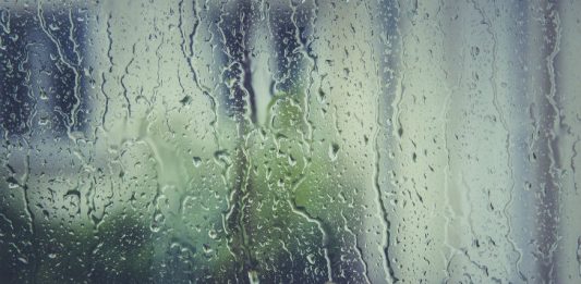 April Rain - Image by Markus Spiske from Pixabay