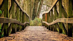 CountingUp Wooden Bridge Image by Peter H from Pixabay