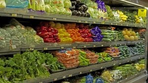 Fruit and Vegetable (Image credit/Pixabay/Dawnfu)