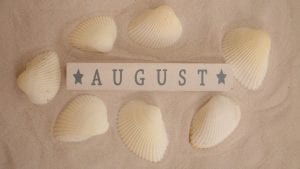 August Shells Beach Image by Margo Lipa from Pixabay