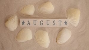 August Shells Beach Image by Margo Lipa from Pixabay 