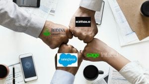 Rodina Consulting + Sage Intacct + Salesforce + Kimble Partnership Image by mohamed Hassan from Pixabay 