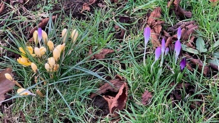 ERP News from the week beginning 25th April 2022