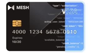 MESH Visa Card - (c) 2021 Mesh 