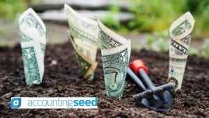 Accounting Seed Funding Image by TheDigitalWay from Pixabay