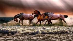 3 horses Image by ATDSPHOTO from Pixabay 