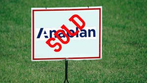 Anaplan Sold Image by Paul Brennan from Pixabay 
