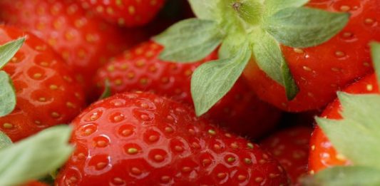 Strawberries June Image by Mylene2401 from Pixabay